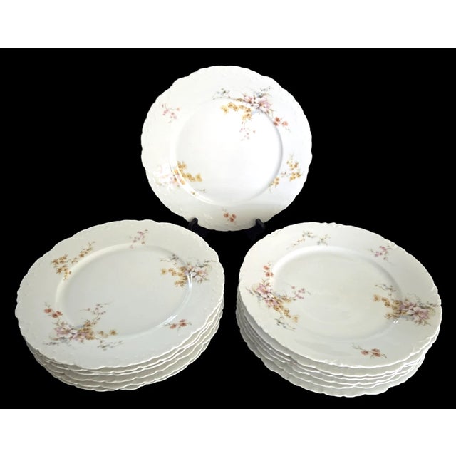 Late 19th Century Antique 1891-1906 Rosenthal Monbijou Bone China Dinner Plates 10.25 in -Set of 13 For Sale - Image 5 of 7
