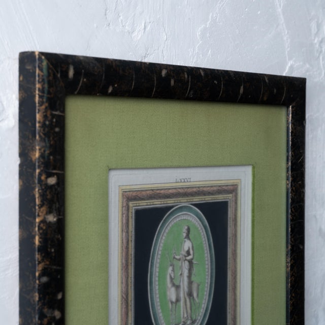 Green Cosimo Colombini Engravings, c.1760s For Sale - Image 8 of 8