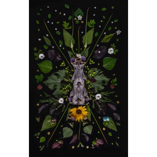Totem by Jenya Chernoff | Giclée print on fine art paper Floral arrangement with animal skull. For Sale
