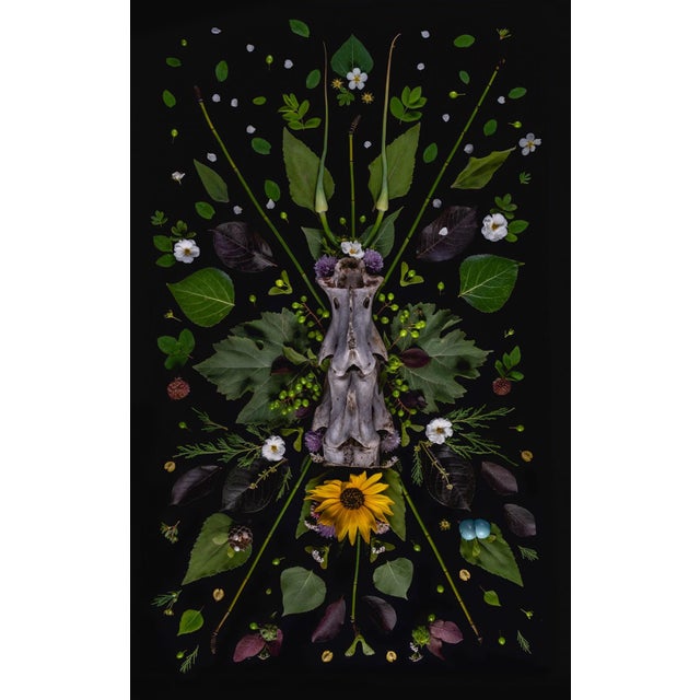 Totem by Jenya Chernoff | Giclée print on fine art paper Floral arrangement with animal skull. For Sale