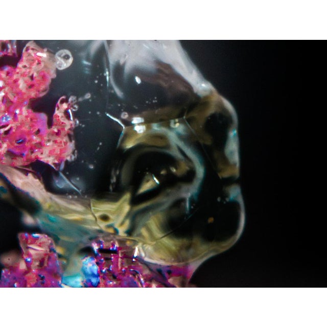 Contemporary Marko Milić, Alien, Abstract Photography For Sale - Image 3 of 6