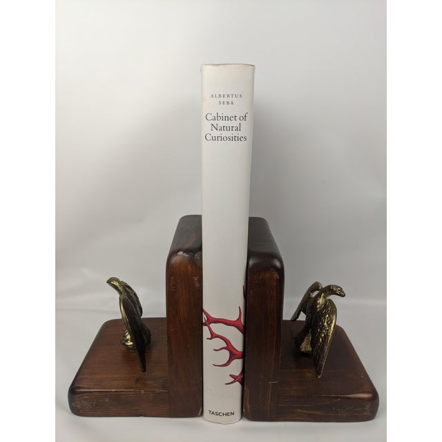 Illustration Albertus Seba's Cabinet of Natural Curiosities – Taschen Red & White Illustrated Book For Sale - Image 3 of 12