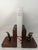 Illustration Albertus Seba's Cabinet of Natural Curiosities – Taschen Red & White Illustrated Book For Sale - Image 3 of 12