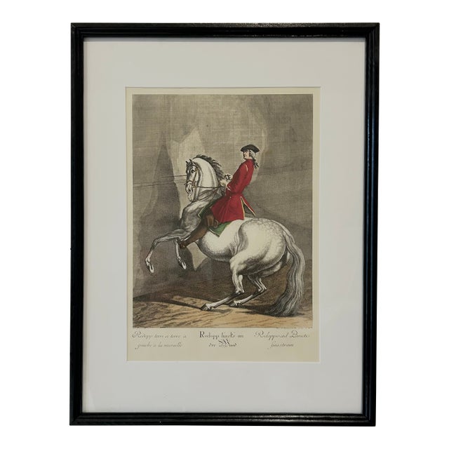 Antique Equestrian Dressage Original Print For Sale