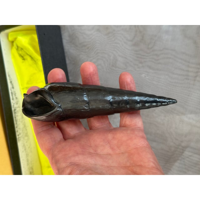 Graphite Shell Sculpture by Agelio Batle For Sale - Image 9 of 10