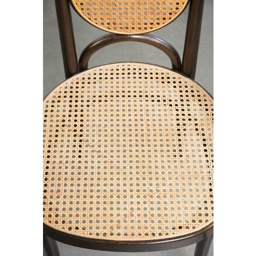 Wood Vintage Long John High Back Bentwood Chairs with Webbing Seats from Thonet, Set of 6 For Sale - Image 7 of 17