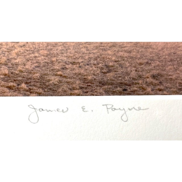 Brown Vintage Original James E. Payne Liberty Science Center Architectural Photograph For Sale - Image 8 of 12