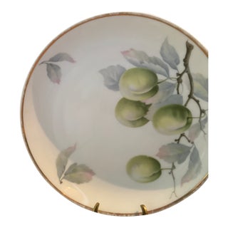 Antique Rosenthal Bavaria Hand-Painted Fruit Plate, C. 1900 For Sale