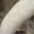 Metal Hollywood Regency Faux Tusk Sculpture Marquis Collection of Beverly Hills For Sale - Image 7 of 16