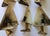 1970s Mid-Century Brass Wall Lamps, Germany, 1970s, Set of 6 For Sale - Image 5 of 17