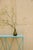 Giraffe Console Table with Natural Linoleum Top in Black by &New For Sale - Image 6 of 10