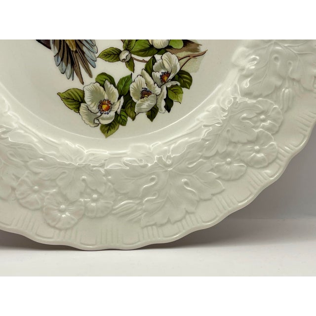 1950s Alfred Meakin “Birds of America” Carolina Turtle Dove Decorative Plate For Sale - Image 5 of 8
