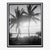 This sun-dappled palm tree was photographed in Palm Beach, Florida near the turn of the century. Reprinted from the...