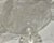 Transparent Set of 4 Sherry Stem Glasses With Cut Glass Roses & Leaves For Sale - Image 8 of 11