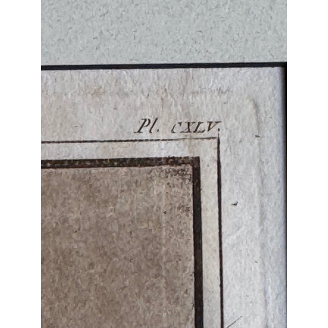 This finely executed French Neoclassical engraving depicts a fragment of ancient statuary and architectural ornamentation,...