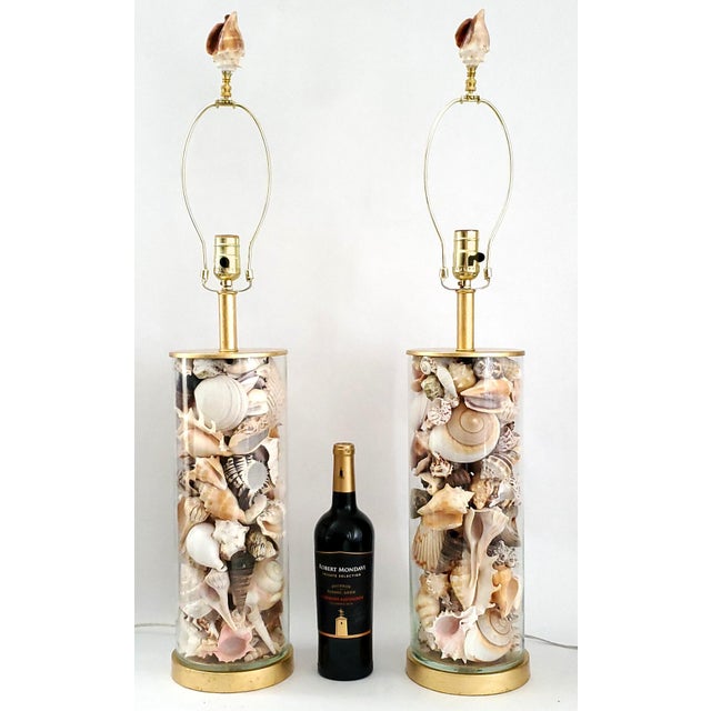 Metal Lamp Pair Seashells Shells Restored Extra Large Size For Sale - Image 7 of 10