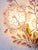 Brass Wall Sconce with Crystal Flowers For Sale - Image 4 of 9