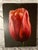 Pink Contemporary Art Tulip # 2 Painted in Bright Dramatic Pink For Sale - Image 8 of 11