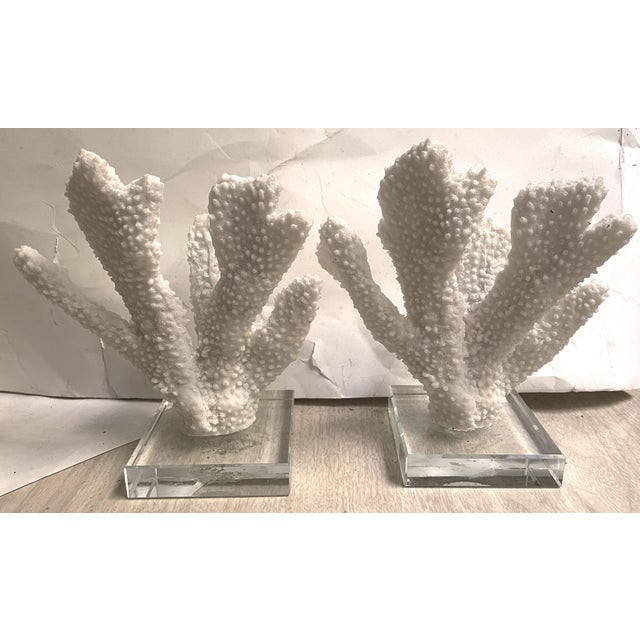 White Pair Faux Coral White Thick Finger Mounted on Glass Decorative Objects For Sale - Image 8 of 12