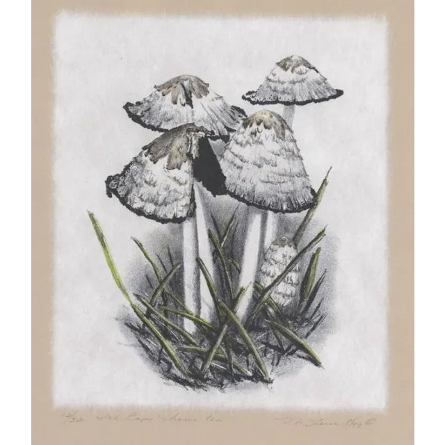 Traditional Mary Laur Mushroom Hand Colored Lithograph For Sale - Image 3 of 3