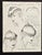 This is a set of 2 original French designs for hats that date to c1935. We purchased them in Paris. Done with pencil on...