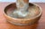 Mid-Century Modern Danish Studio Pottery Candleholder from Axella, 1960s For Sale - Image 9 of 18