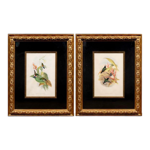 Pair of Large 19th C. Bird Prints Custom Matting and Frames After John Gould and Henry Constantine Richter
