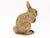 Mid 20th Century Small Bunny Garden Ornament For Sale - Image 5 of 9