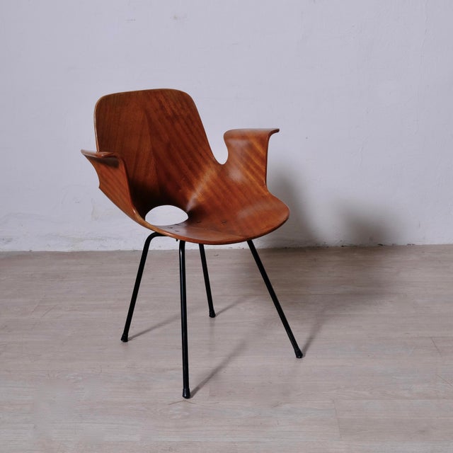 Medea Armchair by Vittorio Nobili for Fratelli Tagliabue, 1950s For Sale - Image 12 of 18