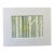 “Whispering Birches” Original Watercolor by Nancy Smith For Sale