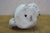 Mid Century Italian Porcelain Spaghetti Poodle Dog Figurine Statue 8" For Sale - Image 10 of 13