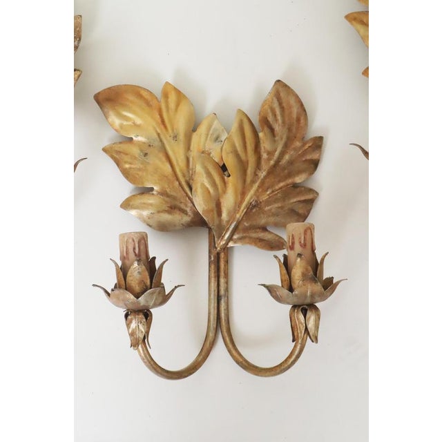 Brown Hollywood Regency Gilt Acanthus Leaf Wall Lights, 1950s, Set of 3 For Sale - Image 8 of 17