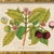 Illustration Reproduction Giclee Print of Vintage Fruit & Flowers (1) Art Print, Framed For Sale - Image 3 of 6