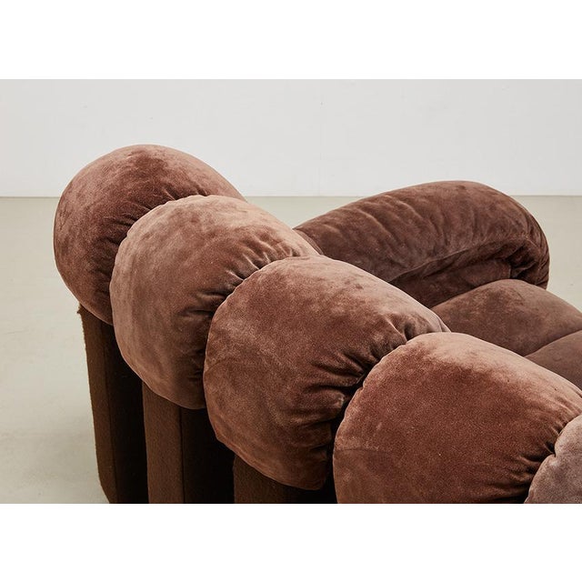 DS-600 Snake Sofa by Ueli Berger for de Sede, Switzerland, 1970s, Set of 22 For Sale - Image 12 of 15