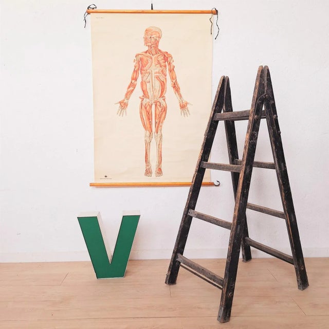 Antique Decorative Wooden Ladder, 1910s For Sale - Image 4 of 7