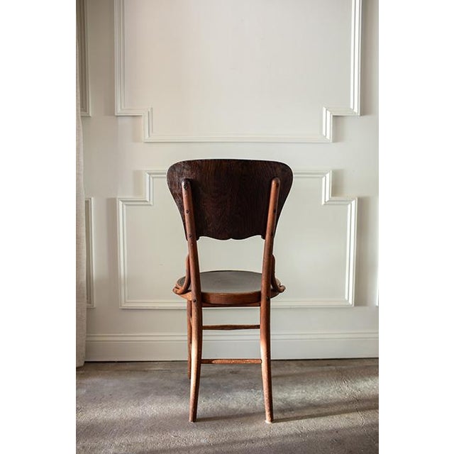 Antique Bentwood Cafe Chairs in the Style of Micheal Thonet , Set of 6 For Sale - Image 12 of 16