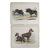 Antique 1850s Large Antelope - a Pair For Sale