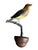 Folk Art Austrian Folk Art Carved Wood Wren #100 For Sale - Image 3 of 5