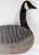 Mid-Century Folk Art Canadian Goose Wall Accent or Lawn Ornament For Sale In New York - Image 6 of 8