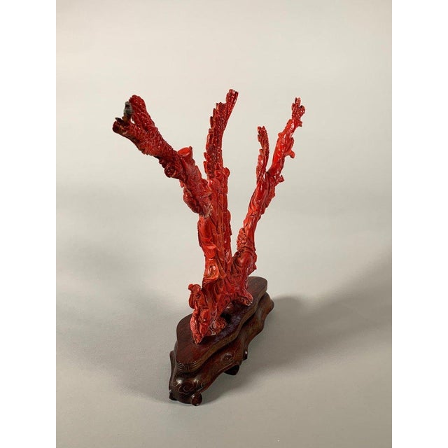 Large Coral Sculpture, China, Early 20th Century For Sale - Image 10 of 12