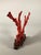 Large Coral Sculpture, China, Early 20th Century For Sale - Image 10 of 12