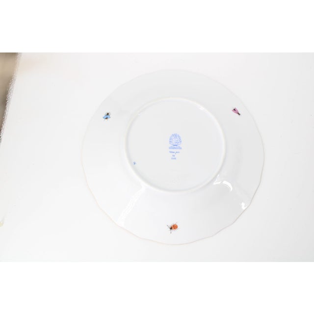 Never used, so in like new condition. Measures approximately 8 1/2" in diameter with a height of approximately 1 1/8".