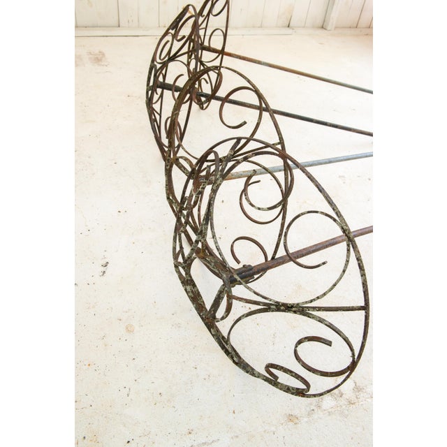 Set of Four French garden Rose Trees For Sale - Image 4 of 12