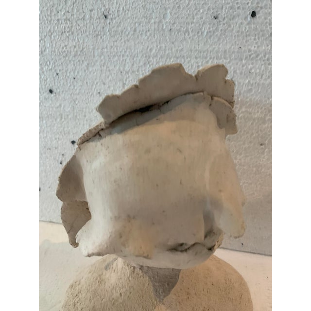 Female Bust in White Terracotta For Sale - Image 5 of 13