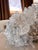 Himalayan Quartz Crystal Cluster – High Clarity Multi-Point Formation, Sculptural Natural Specimen "Odette" For Sale - Image 4 of 18