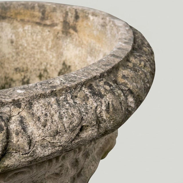 Large Medici Garden Basin, Early 20th Century For Sale - Image 6 of 14