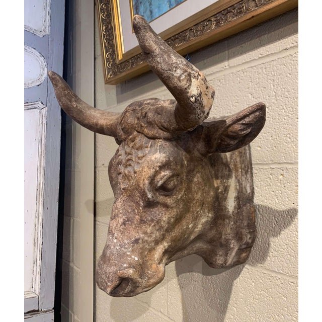 Mid20th Century French Carved Terracotta Butcher Cow Head Sculpture Chairish