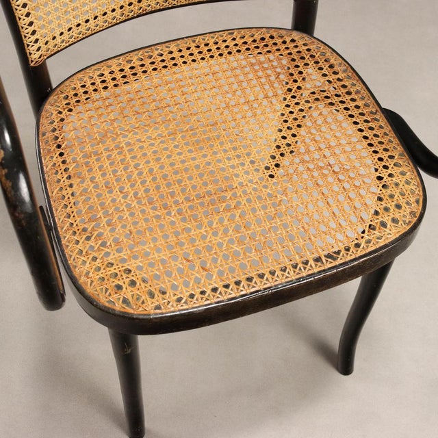 Wood Thonet-Style Chair with Beech Wood Frame For Sale - Image 7 of 11