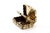 Gold Victorian Gold and Pata Vinaigrette Box For Sale - Image 8 of 10