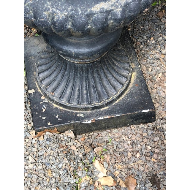 Large Capagna Form Black Cast Iron Planters Urns - a Pair For Sale - Image 4 of 11